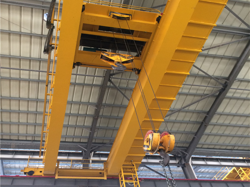 Double beam bridge crane with hoist